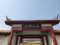 -神州牡丹园