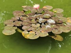 -常州古运河南大街文化旅游区-人民公园