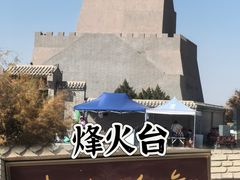 -金塔沙漠胡杨林景区