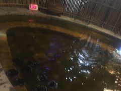 -泉城欧乐堡戏水湾艺术养生温泉