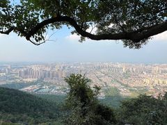-惠山国家森林公园