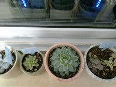 -永辉超市(中南城店)