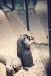 -酷嗒动物文化乐园(cutezoo西溪乐天城店)