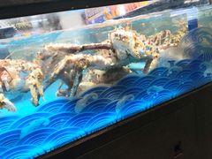 水产区-盒马鲜生(宝地店)