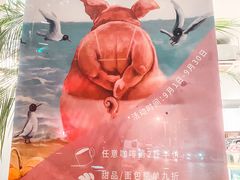 -WHEN PIGS FLY当猪飞