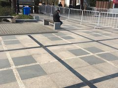 -香雪海