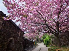 -宁波余姚老柿林山居度假村