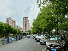-陈家山荷花公园