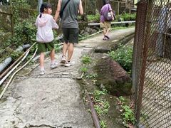 -狮子山郊野公园