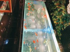 -阳光院坝小龙虾(红牌楼店)