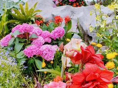 -武汉园博园(武汉自然博物馆)