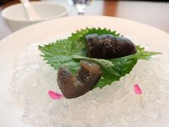-觀芷隐轩