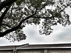 -半岛1919创意园区