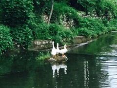 -碓臼峪自然风景区