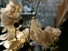 -秀儿家の小确幸花园西餐厅