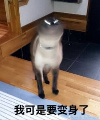 -I+造型烫发染发