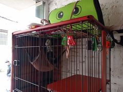 -元氏钵仔糕(北京路店)