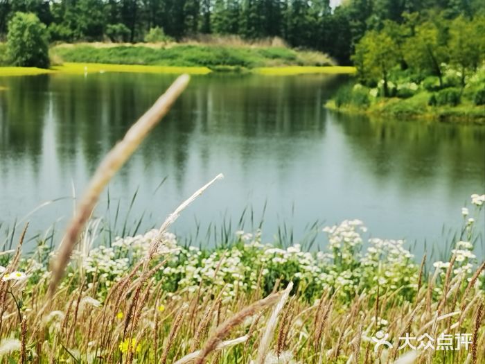 太阳岛度假酒店图片