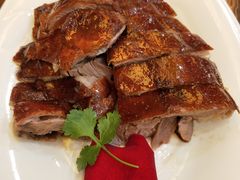 -椿记烧鹅(叠彩店)