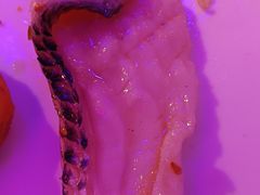 -巴特餐饮6加1音乐餐吧·新疆菜
