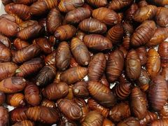 -码头鲜精致威海菜(欧乐坊店)