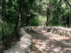 -阳台山自然风景区