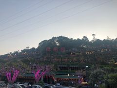 -枇杷园食为鲜火锅(南山店)