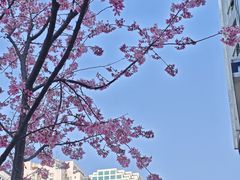 -芝麻糊世家(西华店)