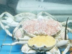 -阳光码头海鲜火锅(世纪大道店)