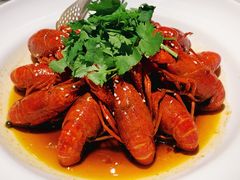 十年花雕熟醉小龙虾-悦融琥珀·京鲁菜·海味珍品(西单店)