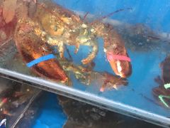 -宾朋海鲜特色美食餐厅·纯手工鲅鱼水饺(兴海路店)