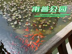 -南普公园