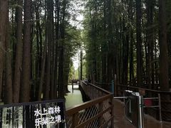 -青山湖景区