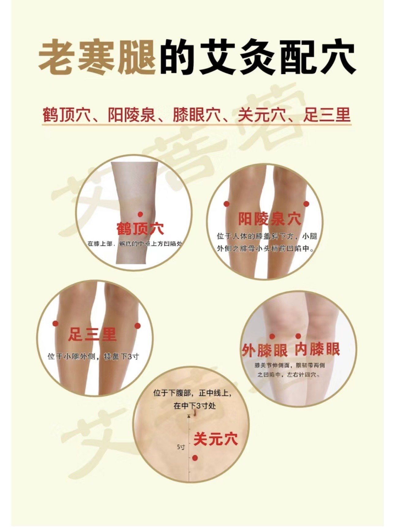 艾灸膝盖,再也不怕老寒腿啦!