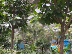 -南宫五洲植物乐园