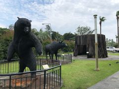 -信不信由你博物馆