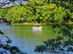 -上海共青森林公园