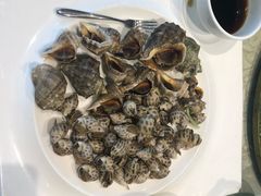 -洪湖家庭农场·团建·露营·会议