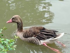 -宁波野生动物园
