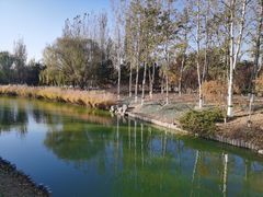 -大兴滨河森林公园