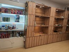 -猫十亿·布偶金渐层·曼基康矮脚猫舍(青年路店)