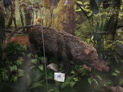 -下渚湖国家湿地公园科普馆