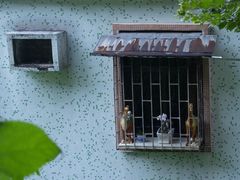 -中山公园(石岐街道)