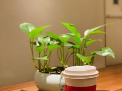 -常乐·对症推拿(来福士第43分店)