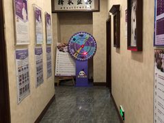 -宠爱国际动物医院· 猫科· 外科·中兽医(长白店)