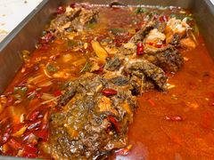 叉尾鱼-新珠城鱼坊(龙湖店)