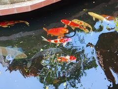 -侠成水上农庄(工业大道店)