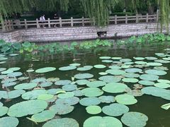 -美味居(古城店)