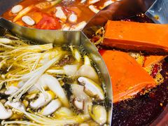 -大龙燚火锅(天钥桥路店)