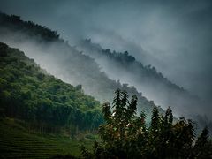 -安吉龙王山风景区